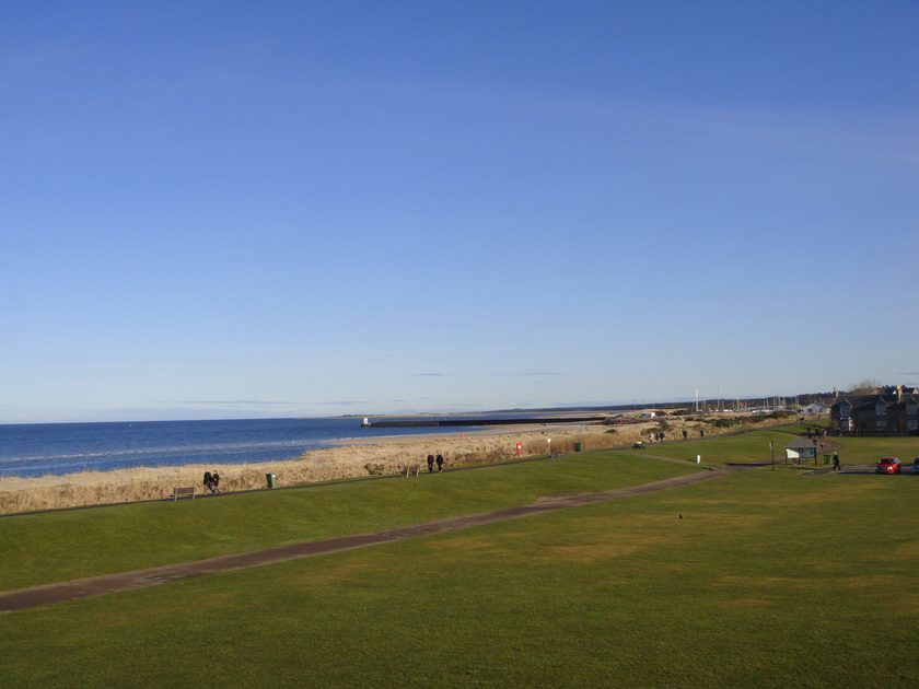 The Links